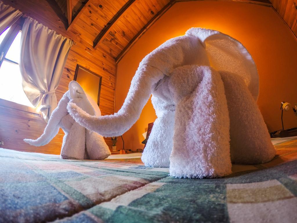 Cabanas De La Patagonia ซาน มาร์ติง เด ลอส อันเดส ภายนอก รูปภาพ